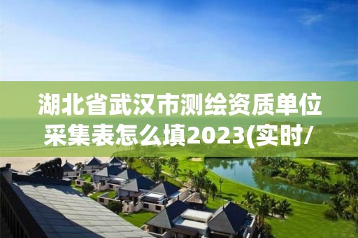 湖北省武漢市測(cè)繪資質(zhì)單位采集表怎么填2023(實(shí)時(shí)/更新中)