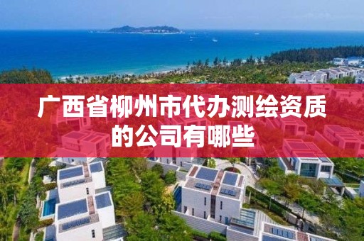 廣西省柳州市代辦測繪資質的公司有哪些