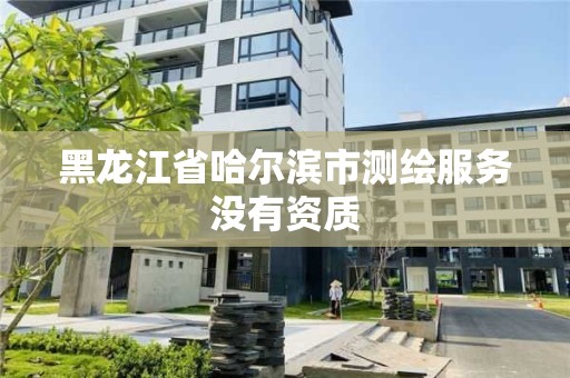 黑龍江省哈爾濱市測繪服務沒有資質