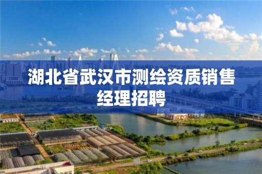 湖北省武漢市測繪資質銷售經理招聘