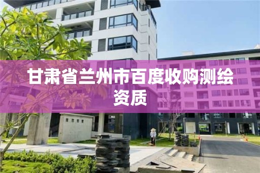 甘肅省蘭州市百度收購測繪資質