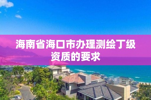 海南省海口市辦理測繪丁級資質的要求