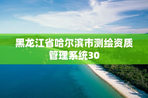 黑龍江省哈爾濱市測繪資質管理系統30