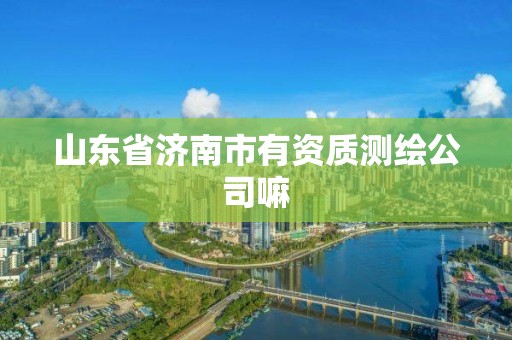 山東省濟南市有資質測繪公司嘛