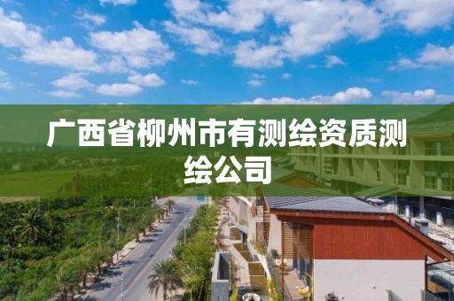 廣西省柳州市有測繪資質測繪公司