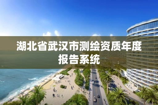 湖北省武漢市測繪資質年度報告系統