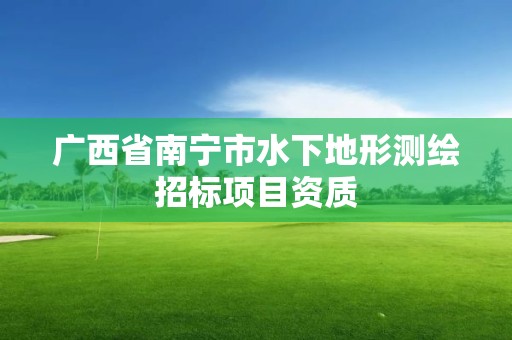 廣西省南寧市水下地形測繪招標(biāo)項(xiàng)目資質(zhì)