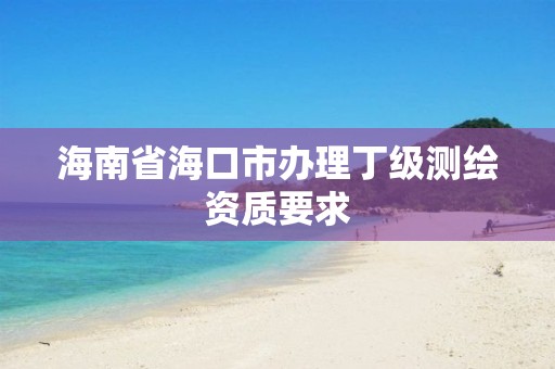 海南省海口市辦理丁級測繪資質要求