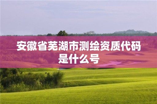 安徽省蕪湖市測(cè)繪資質(zhì)代碼是什么號(hào)