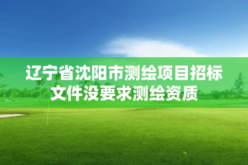 遼寧省沈陽市測繪項目招標文件沒要求測繪資質