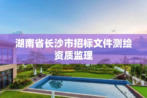 湖南省長沙市招標文件測繪資質監理