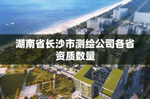 湖南省長沙市測繪公司各省資質(zhì)數(shù)量