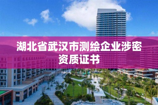 湖北省武漢市測繪企業(yè)涉密資質證書