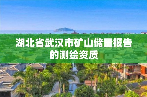 湖北省武漢市礦山儲量報告的測繪資質