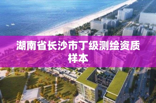 湖南省長沙市丁級測繪資質樣本