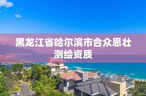 黑龍江省哈爾濱市合眾思?jí)褱y(cè)繪資質(zhì)