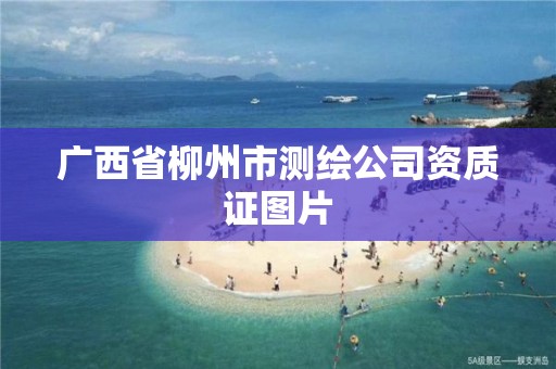 廣西省柳州市測繪公司資質(zhì)證圖片