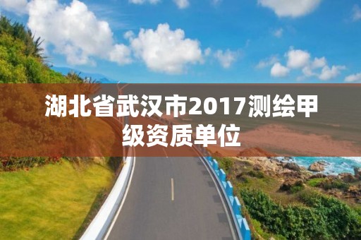 湖北省武漢市2017測(cè)繪甲級(jí)資質(zhì)單位