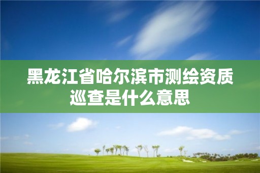 黑龍江省哈爾濱市測繪資質巡查是什么意思