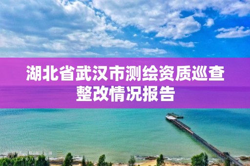 湖北省武漢市測繪資質巡查整改情況報告