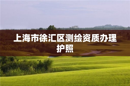 上海市徐匯區(qū)測繪資質(zhì)辦理護(hù)照