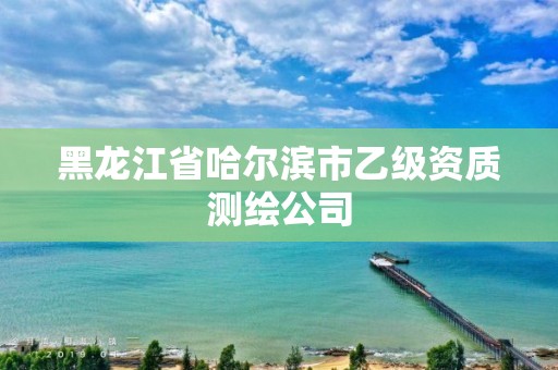 黑龍江省哈爾濱市乙級資質測繪公司