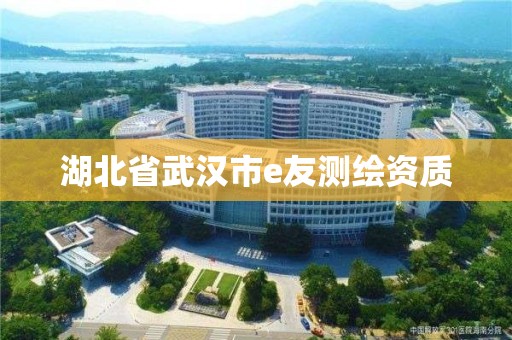 湖北省武漢市e友測繪資質