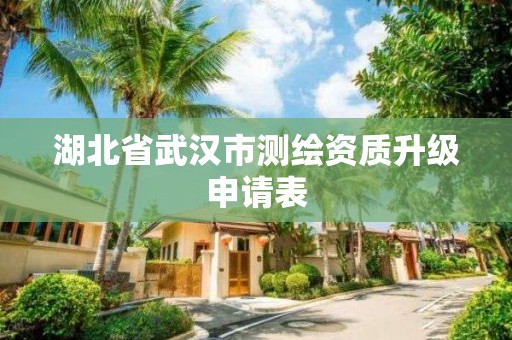 湖北省武漢市測繪資質(zhì)升級申請表