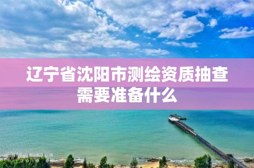 遼寧省沈陽市測繪資質(zhì)抽查需要準備什么