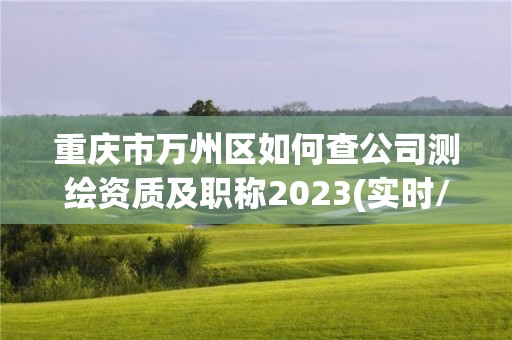 重慶市萬州區(qū)如何查公司測繪資質(zhì)及職稱2023(實(shí)時(shí)/更新中)