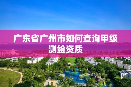 廣東省廣州市如何查詢甲級測繪資質(zhì)