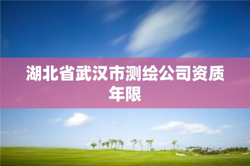 湖北省武漢市測繪公司資質年限