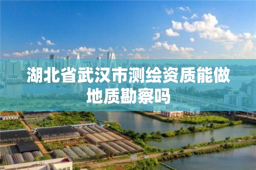 湖北省武漢市測繪資質能做地質勘察嗎