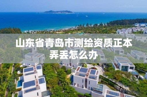 山東省青島市測繪資質正本弄丟怎么辦