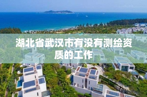 湖北省武漢市有沒有測繪資質的工作