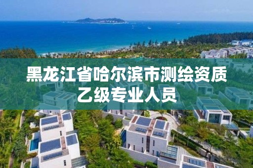 黑龍江省哈爾濱市測繪資質乙級專業人員