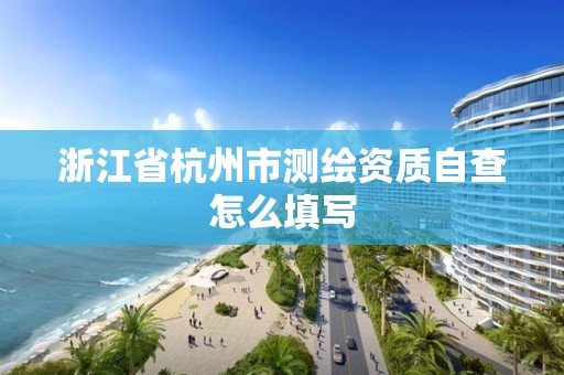 浙江省杭州市測繪資質自查怎么填寫