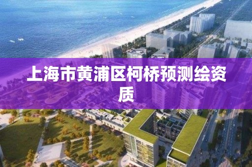 上海市黃浦區柯橋預測繪資質