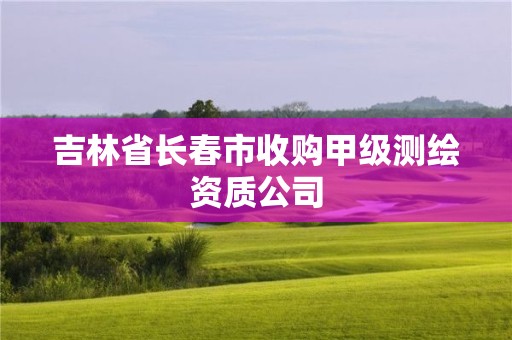 吉林省長春市收購甲級測繪資質(zhì)公司