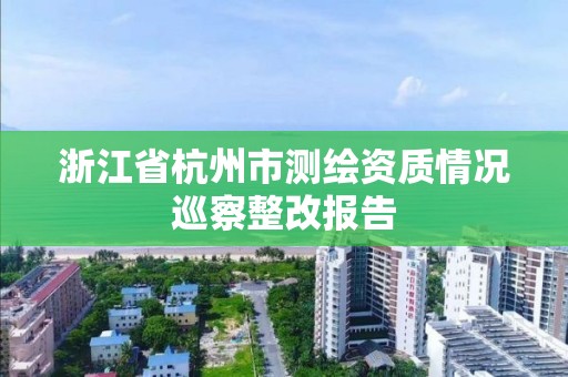 浙江省杭州市測繪資質情況巡察整改報告