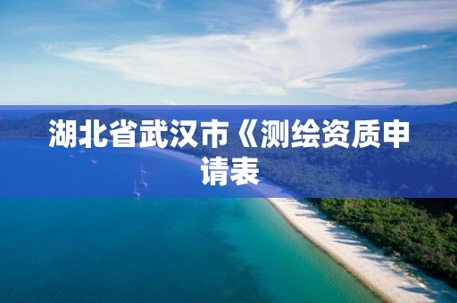 湖北省武漢市《測繪資質申請表