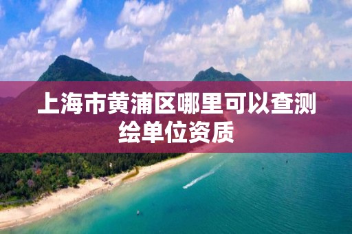 上海市黃浦區哪里可以查測繪單位資質