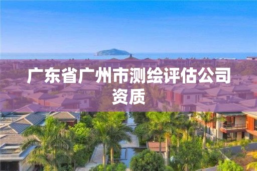 廣東省廣州市測繪評估公司資質(zhì)