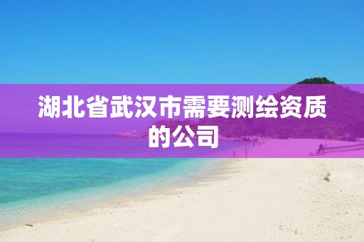 湖北省武漢市需要測繪資質(zhì)的公司