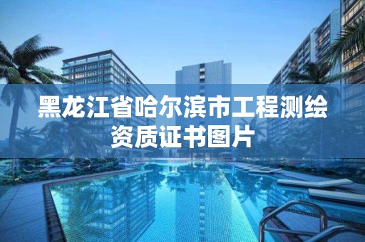 黑龍江省哈爾濱市工程測繪資質證書圖片