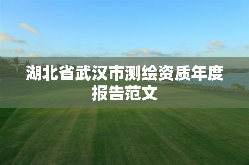 湖北省武漢市測繪資質年度報告范文