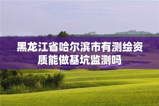 黑龍江省哈爾濱市有測(cè)繪資質(zhì)能做基坑監(jiān)測(cè)嗎