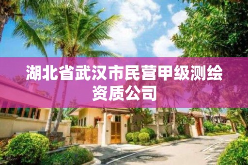 湖北省武漢市民營甲級測繪資質公司