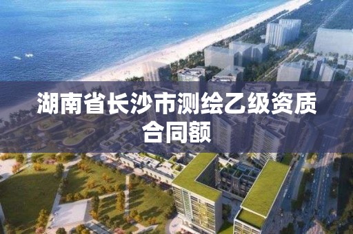 湖南省長沙市測繪乙級資質合同額