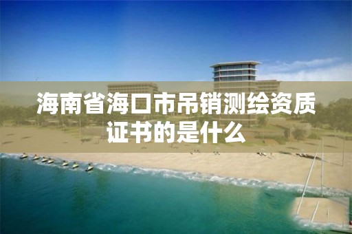 海南省海口市吊銷測繪資質證書的是什么